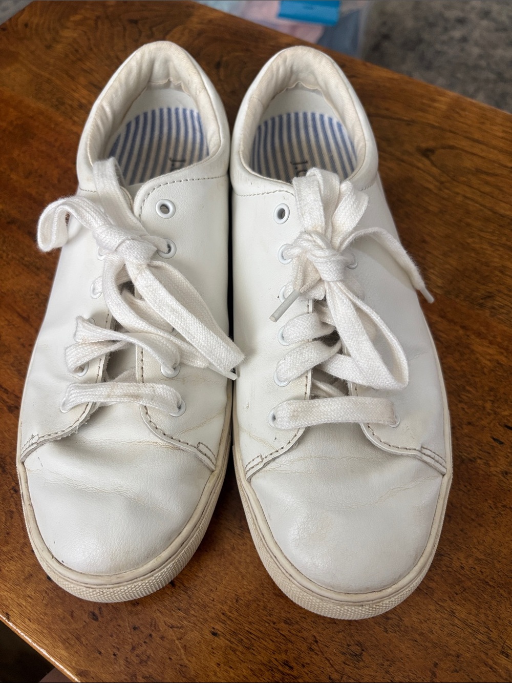 Classic EuroSummer Quiet Luxury J. Crew White Low-Top Leather Sneakers US 7.5